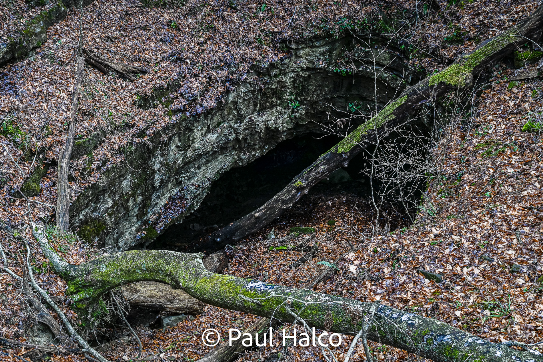 Paul Halco - Mammoth Cave NP-4